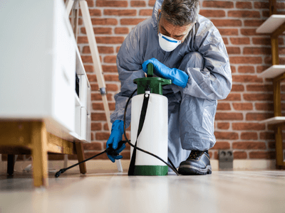 About Termite Treatment Jenks - termite treatment experts in Jenks